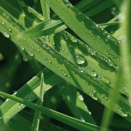 molienda parets del vallés molienda parets del vallés